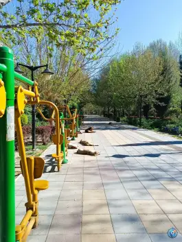 عکس پارک مکعب؛ نگین سبز محله مهرشهر کرج 7