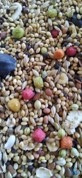 عکس فروشگاه طوطی پلاس، بلوار سوم خرداد، قم 2