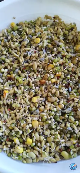 عکس فروشگاه طوطی پلاس، بلوار سوم خرداد، قم 6