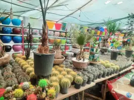 عکس گلسرای دشت بهشت، بلوار سمیه، قم 2