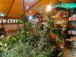 عکس گلسرای دشت بهشت، بلوار سمیه، قم 3