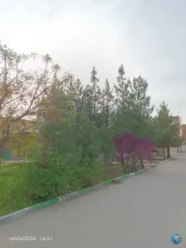 عکس دانشکده فنی و حرفه ای ثامن الحجج (ع) مشهد؛ محله الهیه 9