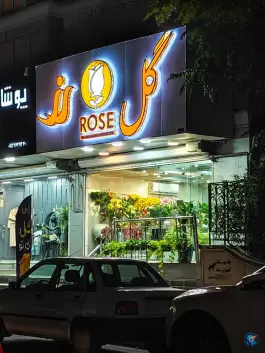 عکس گل رز، فاز ۳ مهرشهر، کرج 2