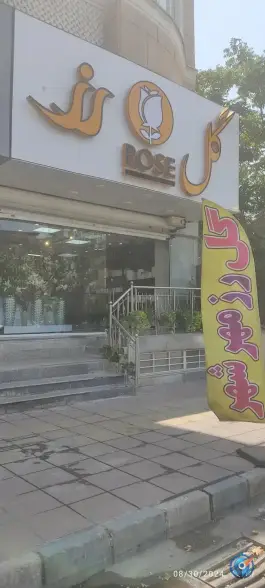عکس گل رز، فاز ۳ مهرشهر، کرج 3