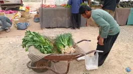 یکشنبه بازار کلهری؛ محله شهر قائم، قم