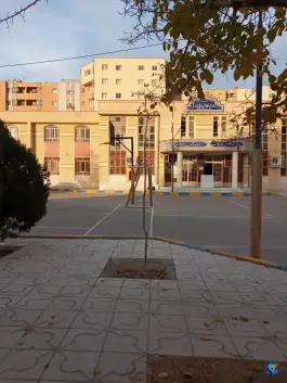 عکس دبیرستان باقرالعلوم داریوش انصاری، محله آزادگان، شیراز 3