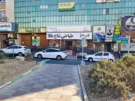 عکس های طباخی شاخ طلا، میرزا بابایی، تهران