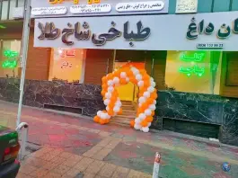 عکس طباخی شاخ طلا، میرزا بابایی، تهران 2