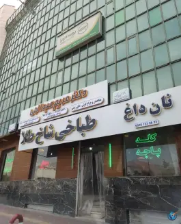 عکس طباخی شاخ طلا، میرزا بابایی، تهران 3