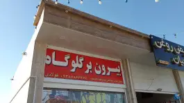 عکس بیرون بر گلوگاه، دوراهی سیاخ، شیراز 2