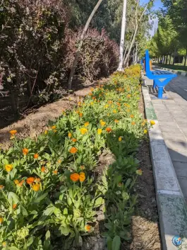 عکس بوستان نارون، شهرک توانیر، قم 3