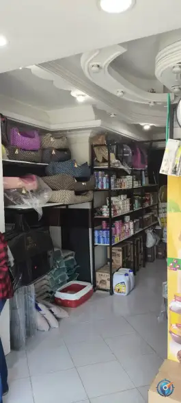 عکس الو پت شاپ، بلوار هوشیار، کرج 7