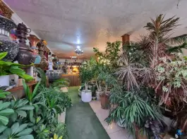 عکس رستوان پدیدار، کانال نور، اصفهان 9