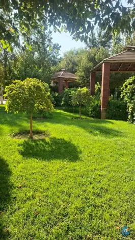 عکس بوستان بانوان اردیبهشت؛ محله ولایت قم 2