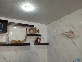 عکس کافه ایتالیا چغادک بوشهر 2