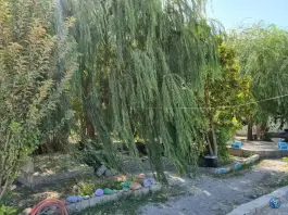 عکس سفره خانه بزرگان مدیریت منابی، مشهد 4