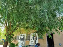 عکس سفره خانه بزرگان مدیریت منابی، مشهد 5