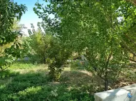 عکس سفره خانه بزرگان مدیریت منابی، مشهد 10