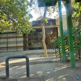 داروخانه دامپزشکی دشت اصفهان، محله فلسطین اصفهان