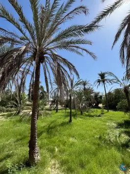 عکس عمارت خلفان، جزیره قشم 2