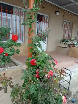عکس رستوران کوهستان، نوخندان، درگز 4