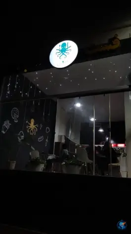 فست فود اختاپوس، بلوار دکتر حسابی، شیراز