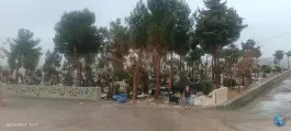 عکس قبرستان امامزاده عبدالله، بلوار شهید سلیمانی، کرج 2