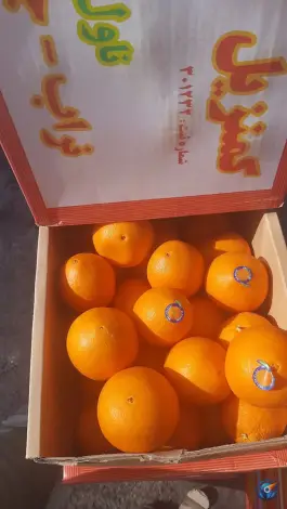 عکس هایپر میوه رضا، بلوار امین، محله جهان بینی قم 8