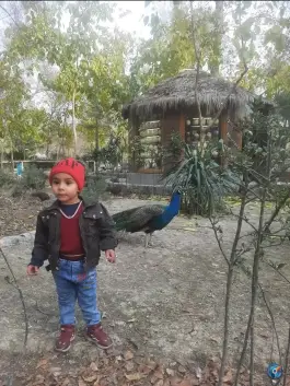 پارکینگ باغ پرندگان اصفهان، محله ناژوان