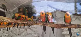 عکس پارکینگ باغ پرندگان اصفهان، محله ناژوان 6