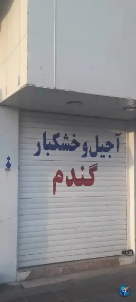 عکس آجیل و خشکبار گندم، محله نیروگاه، قم 2