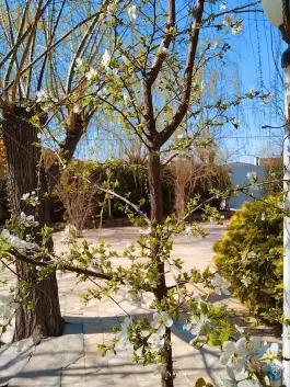 عکس باغ رستوران رز، مشتاق سوم، اصفهان 4