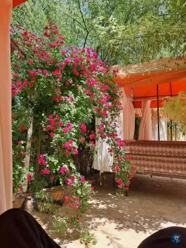 عکس باغ رستوران رز، مشتاق سوم، اصفهان 10
