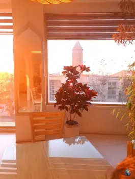 عکس کافه مونالیزا، خیام شمالی، گنبدکاووس 3