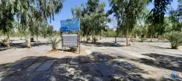 عکس قبرستان ابوحسین؛ آرامگاهی تاریخی در دل قم نو 3