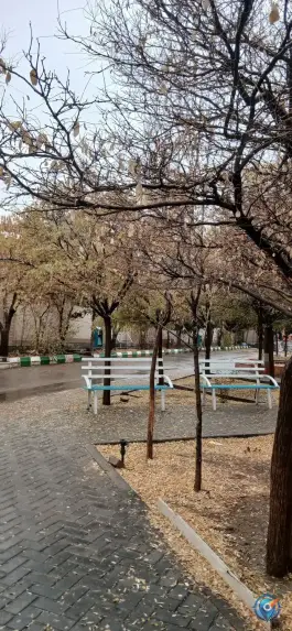 عکس دانشكده حقوق و علوم سياسي دانشگاه آزاد مشهد، محله استاد يوسفي 5