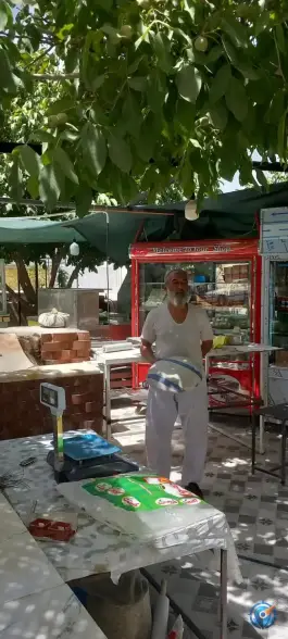 عکس مجتمع باغ و تشریفات زیتون، خالدآباد، شیراز 2