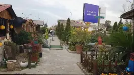 عکس های رستوران سنتی شوکا؛ گلسرخی، چالوس