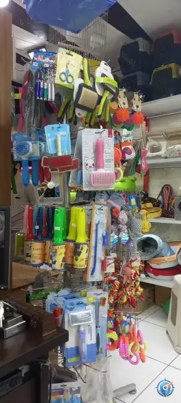 عکس پت شاپ امیر، محله چهارصد دستگاه کرج 4