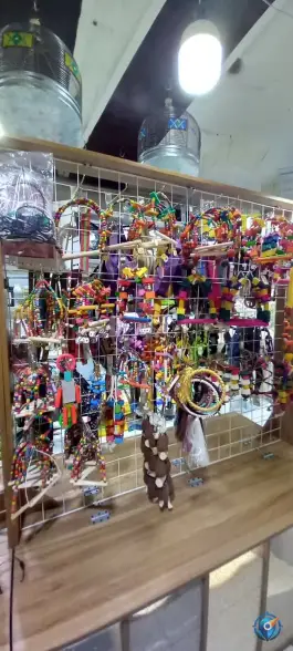 عکس پت شاپ امیر، محله چهارصد دستگاه کرج 5