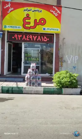 عکس پروتئینی امیر کبیر، محمدشهر کرج 2