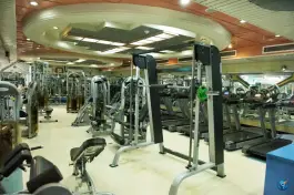 عکس استخر اریکه ایرانیان؛ محله درختی تهران 4