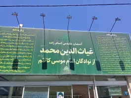 عکس گنبد خشتی امامزاده غیاث الدین محمد؛ پایین خیابان، مشهد 8