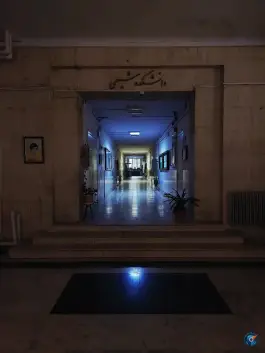 دانشکده شیمی تهران، محله دانشگاه تهران