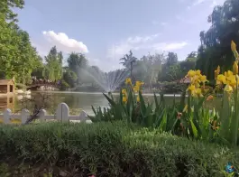 عکس باغ گلها، بلوار شهید چمران، کرج 8