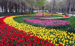 عکس باغ گلها، بلوار شهید چمران، کرج 10