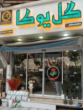 عکس گل یوکا؛ بوستان، جهانشهر کرج 2