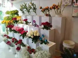 عکس گل فروشی ندرلند؛ بلوار شهید صدوقی، قم 2