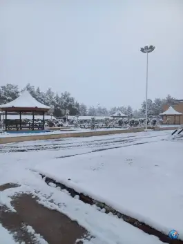 عکس های پردیس بین الملل دانشگاه علوم پزشکی یزد، یزد