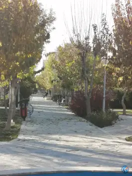 عکس بوستان آل یاسین، محله باغ کرباسی، قم 5
